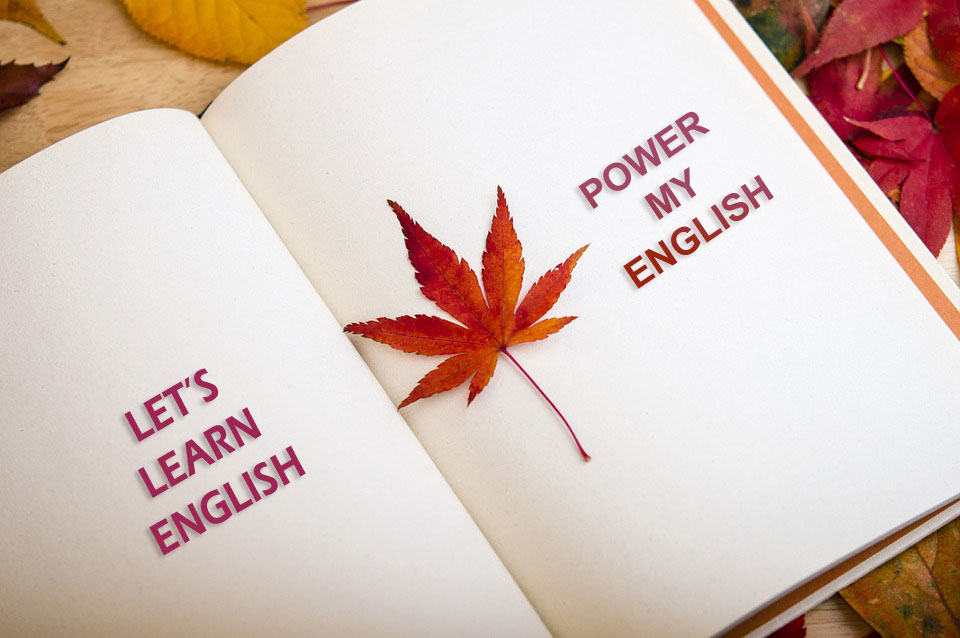 My English